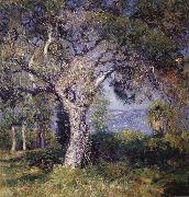 Guy Rose The Oak